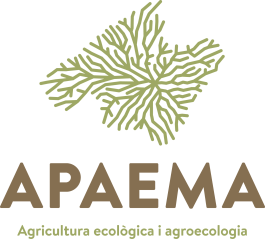 logo apaema